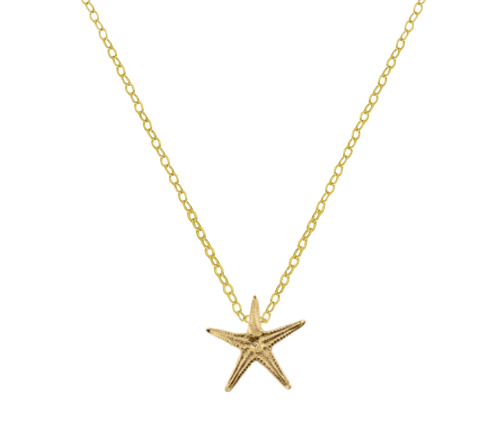 Sea Star Small